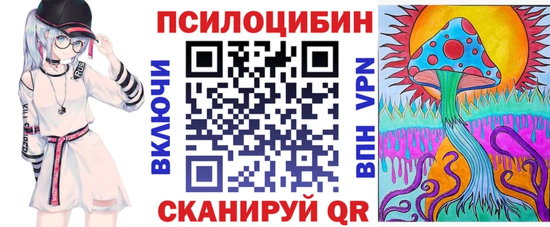 цены Дудинка Галлюциногенные грибы Psilocybe